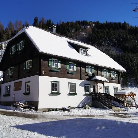 Der Perweinhof Διαμέρισμα Donnersbachwald Εξωτερικό φωτογραφία