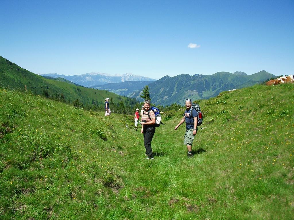 Der Perweinhof Διαμέρισμα Donnersbachwald Εξωτερικό φωτογραφία
