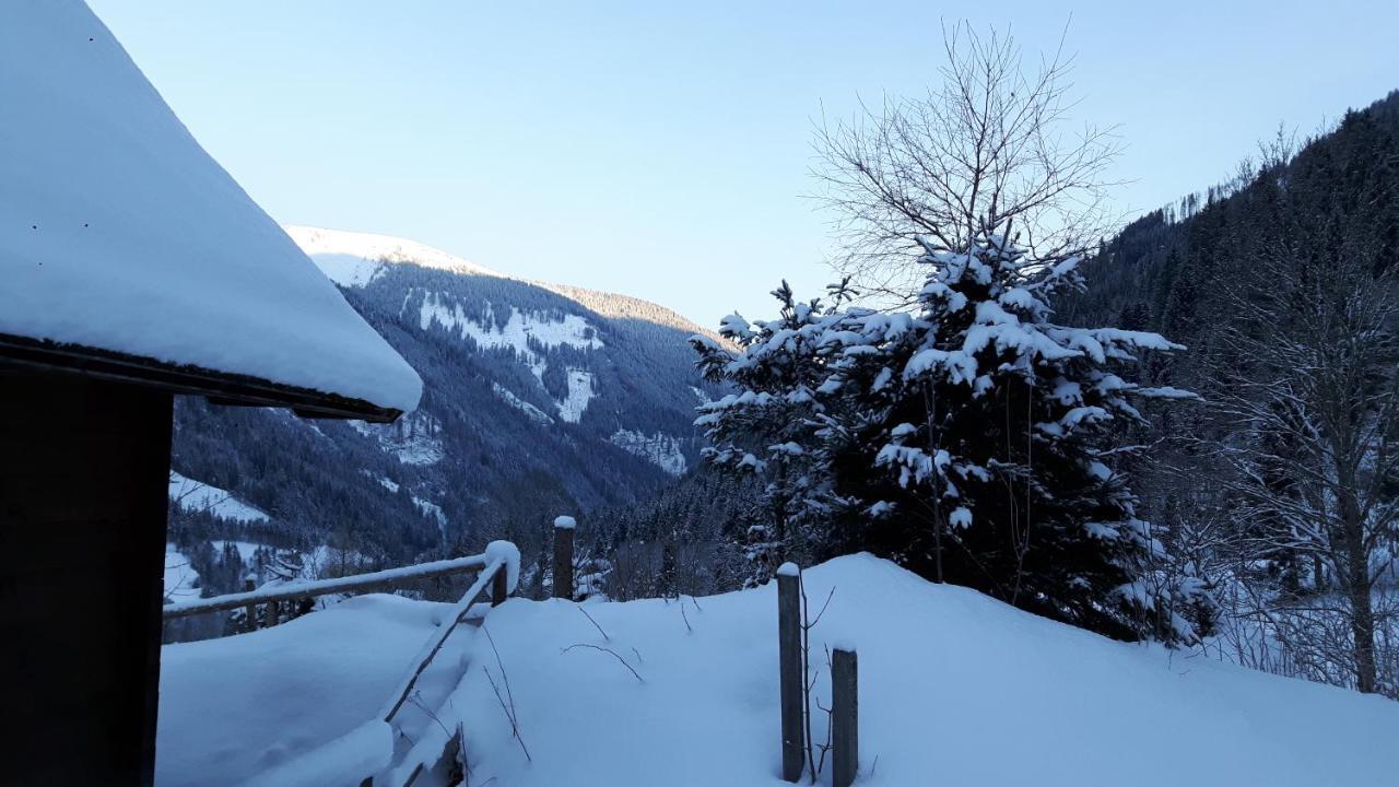 Der Perweinhof Διαμέρισμα Donnersbachwald Εξωτερικό φωτογραφία